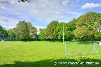Rasenplatz Obernfelder Allee: Sanierung  soll deutlich teurer werden