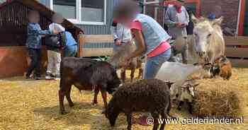 Bert voor de rechter vanwege verwaarlozing van zijn dieren: ‘Een houdverbod is een drama, daar gaat het gezin kapot aan’