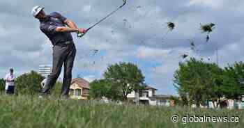 Taylor, Pendrith to join large field of countrymen vying for RBC Canadian Open in Hamilton