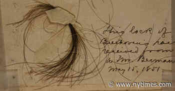 Lead in Beethoven’s Hair Offers New Clues to Mystery of His Deafness