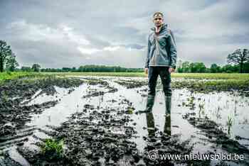 Kletsnat voorjaar drijft landbouwers tot wanhoop: nog maar kwart van gewassen ingezaaid