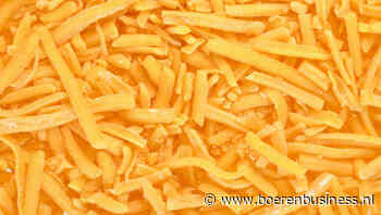 Minder vaak melken geeft Cheddar meer kleur