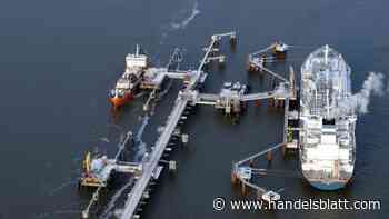 Eltif: Investieren wie die Reichen – Zwölf Prozent Rendite mit neuen Fonds möglich