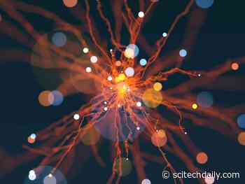 Revolutionizing Catalyst Design: New Research Links Structure to Reaction Performance