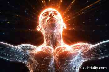 Unlocking Longevity: New Study Reveals Brain-Muscle Clock Synchronization Prevents Aging