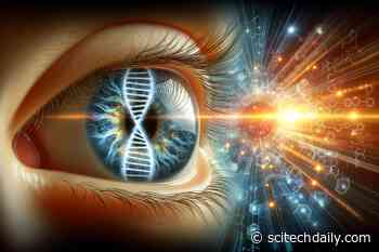 Pioneering CRISPR Gene Editing Trial: 79% of Participants See Improvement