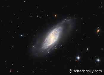 Galactic Wonders: Hubble Explores a Supernova Factory