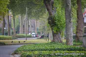 In Waterschei experimenteren ze met duurzame waterstrategie: waterplein en wadi’s