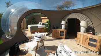 Bedding down in the lion's den: Inside a new bubble lodge at an animal reserve that offers a taste of Africa... in the wilds of KENT