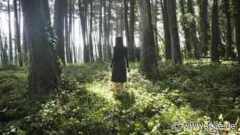 Mann oder Bär: Dafür entscheidet sich die Mehrzahl der Frauen