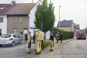 Rookmelders bewijzen hun nut bij rookontwikkeling in woning