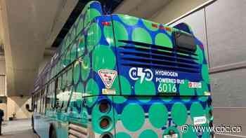 Edmonton climate committee says blue hydrogen not a solution for city emissions goals