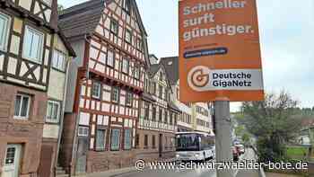 Glasfaser in Calw: Gehen Altburg und Co. beim schnellen Internet leer aus?