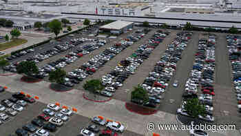 Tesla sends another wave of layoff notices as employees enter 4th week of job cuts