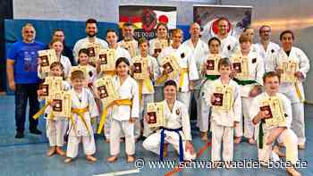 Karatedojo des VfL Nagold: Seit Wochen intensiv darauf vorbereitet