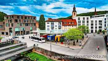 Volksverhetzung am 1. Mai?: Maiwagen sorgt mit Video in Nagold für Aufruhr