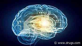 Scientists May Have Located Your Brain's 'Neural Compass'