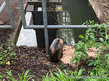 Diesel in die Blau in Ulm geleert