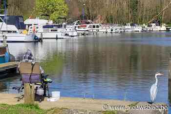 Pop-up Bar Goose verwent passanten aan jachthaven