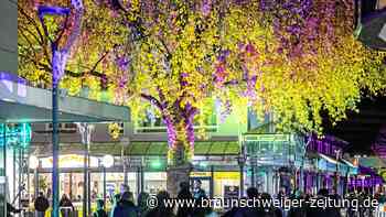 Salzgitter: Was sollen Händler tun gegen trostlose Innenstädte?