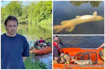 “Dit doet pijn”: Mooimaker Kurt (46) ziet honderden vissen sterven na “merkwaardige” vervuiling op kanaal