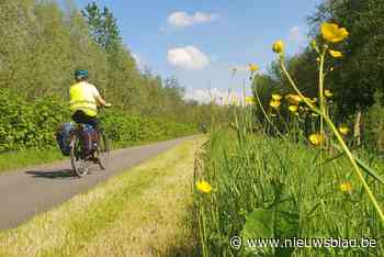 Maai Mei Niet? De Vlaamse Waterweg denkt er soms anders over: “In mei maaien is soms béter voor de bloemen”