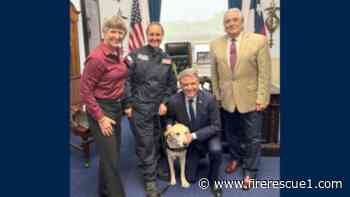 Texas A&M advocates for national veterinary emergency response network to strengthen disaster preparedness