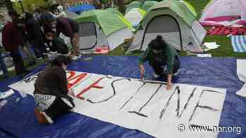 What we can learn from 4 schools that have reached agreements with Gaza protesters