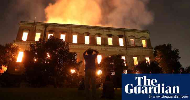 ‘Magical moment’ as fire-ravaged Brazil museum receives big fossil donation