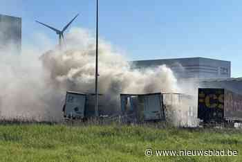 Zware brand bij transportbedrijf in haven van Zeebrugge: twee mensen raken gewond
