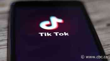 TikTok is suing the U.S. over 'obviously unconstitutional' law that would ban it
