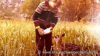 Wie Rehkitz Niki bei Familie Trümper in Hörden landete