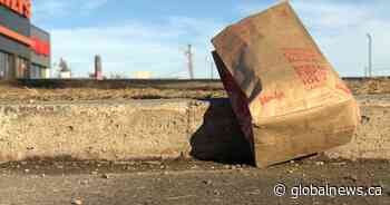 City council repeals Calgary’s single-use bylaw after public pushback