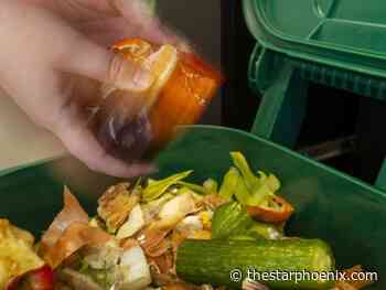 Saskatoon council committee backs composting, solar power facilities