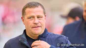 Nächste Absage: FC Bayern muss wohl Holland-Trainer von Liste streichen