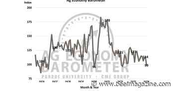 Farmer sentiment declines to lowest level since June 2022 amid weakened financial outlook