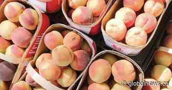 B.C. fruit likely to be in short supply and expensive this year: produce retailers