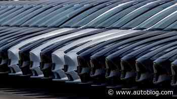 Tesla's China-made EV sales fall; German plant to idle over protest