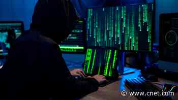 Visa Uses Fraudsters' AI Tools to Beat Them at Their Own Game     - CNET