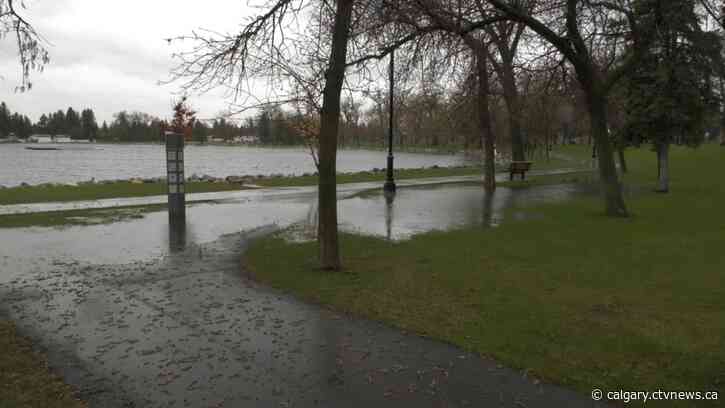Heavy rain, strong winds cause downed trees, power outages across southern Alberta