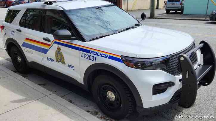 Man arrested, held in custody after assaulting Griffin Security guard: Chilliwack RCMP
