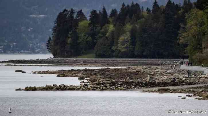 Another barge adrift in Vancouver prompts speedy coast guard response