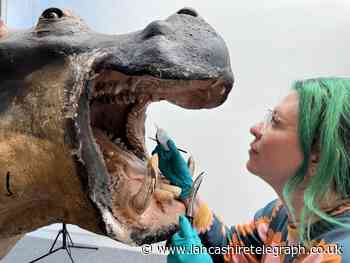 Lancashire expert restoring Leeds' famous Billie the Hippo