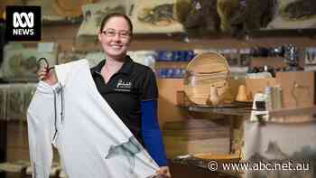 'Bit like calling last drinks before the bar is even opened': Businesses want to apply for major 2023 budget announcement, but they can't