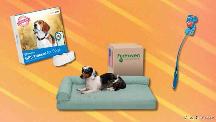 Amazon's Pet Day deals are here with big savings on essentials for furry family members