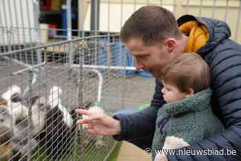 LIVE: Vlaams Parlement stemt over Vlaamse codex voor dierenwelzijn
