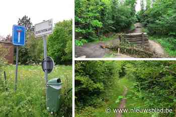 Meisje (14) slachtoffer van groepsverkrachting door tieners, jongste verdachte was amper 12 jaar