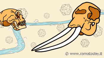 Preistoria in gioco al Museo di Casal de Pazzi