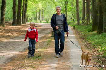 Wandelen met de hond, de do's en don'ts