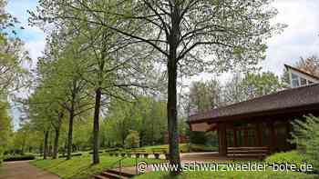 Gebühren erhöht: Auch das Beerdigen muss bezahlt werden